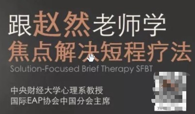 赵然 于丹妮 SFBT高效焦点解决取向治疗课程 视频课