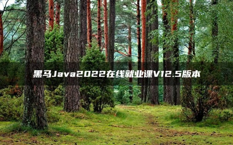 黑马Java2022在线就业课V12.5版本